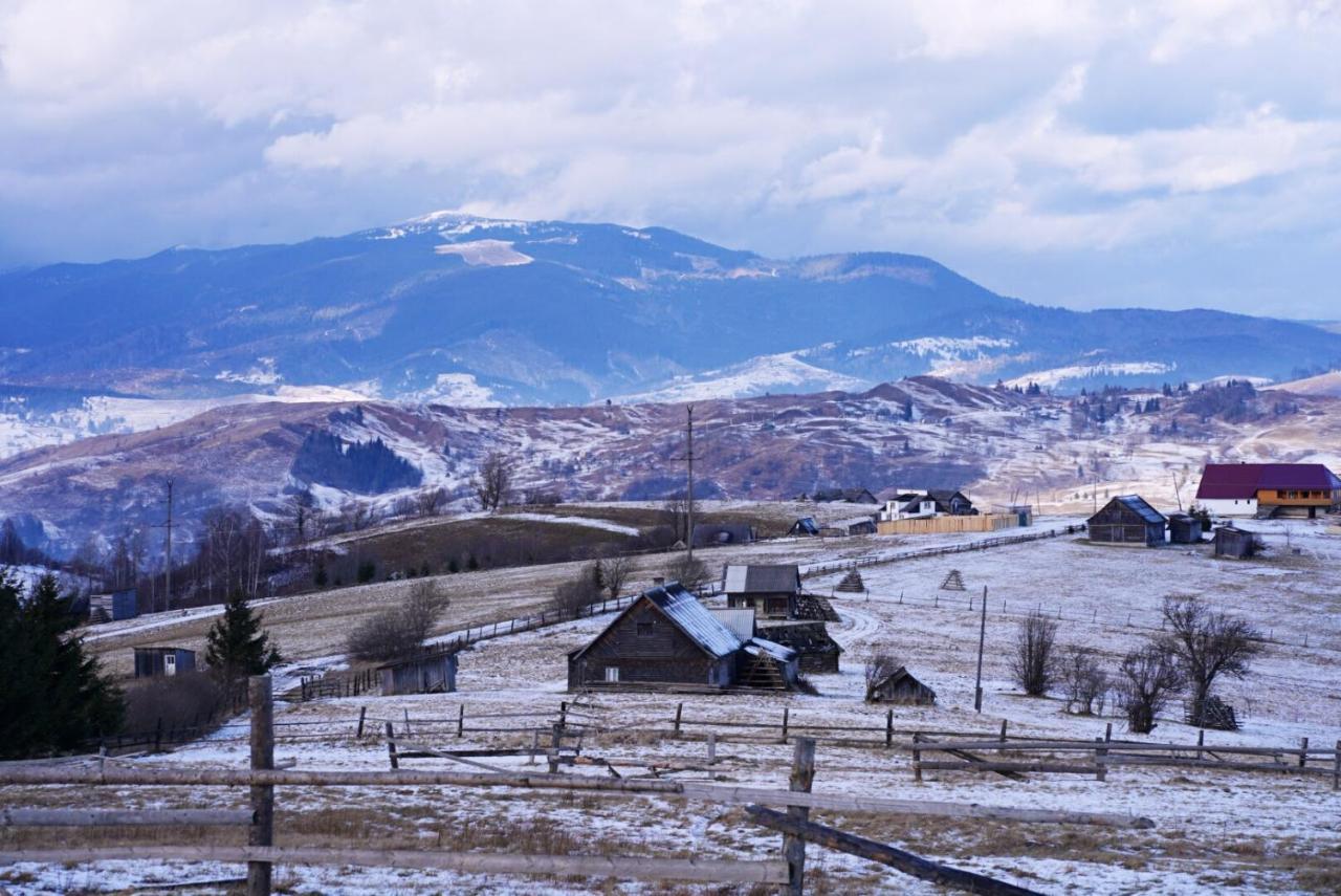 Мирослава Lazeščyna Exteriér fotografie